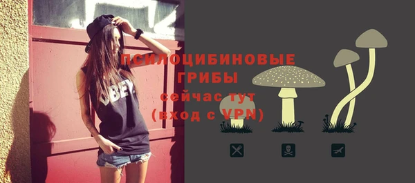 винт Абинск